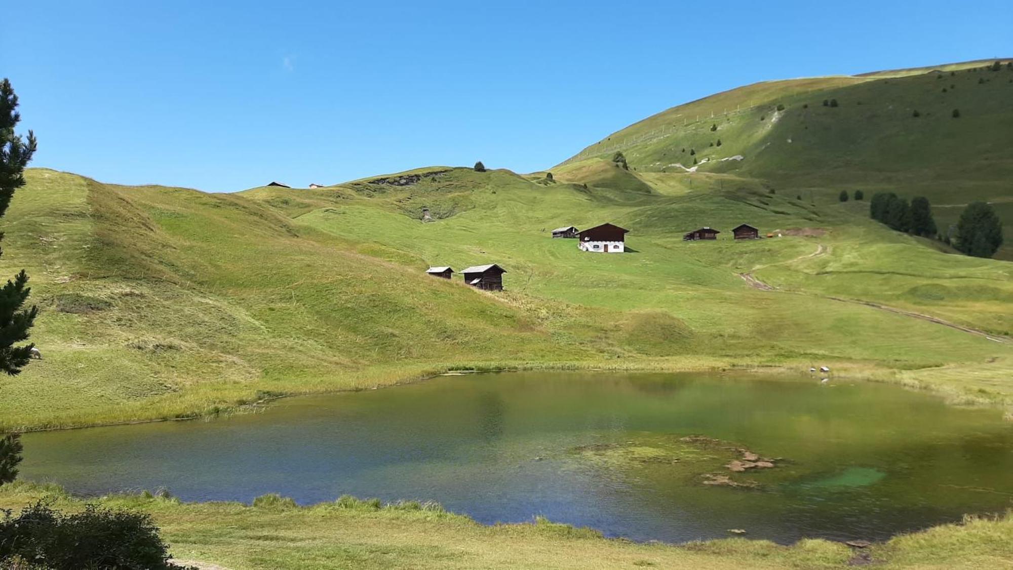 Garni Hotel Iris Сельва-ди-Валь-Гардена Экстерьер фото